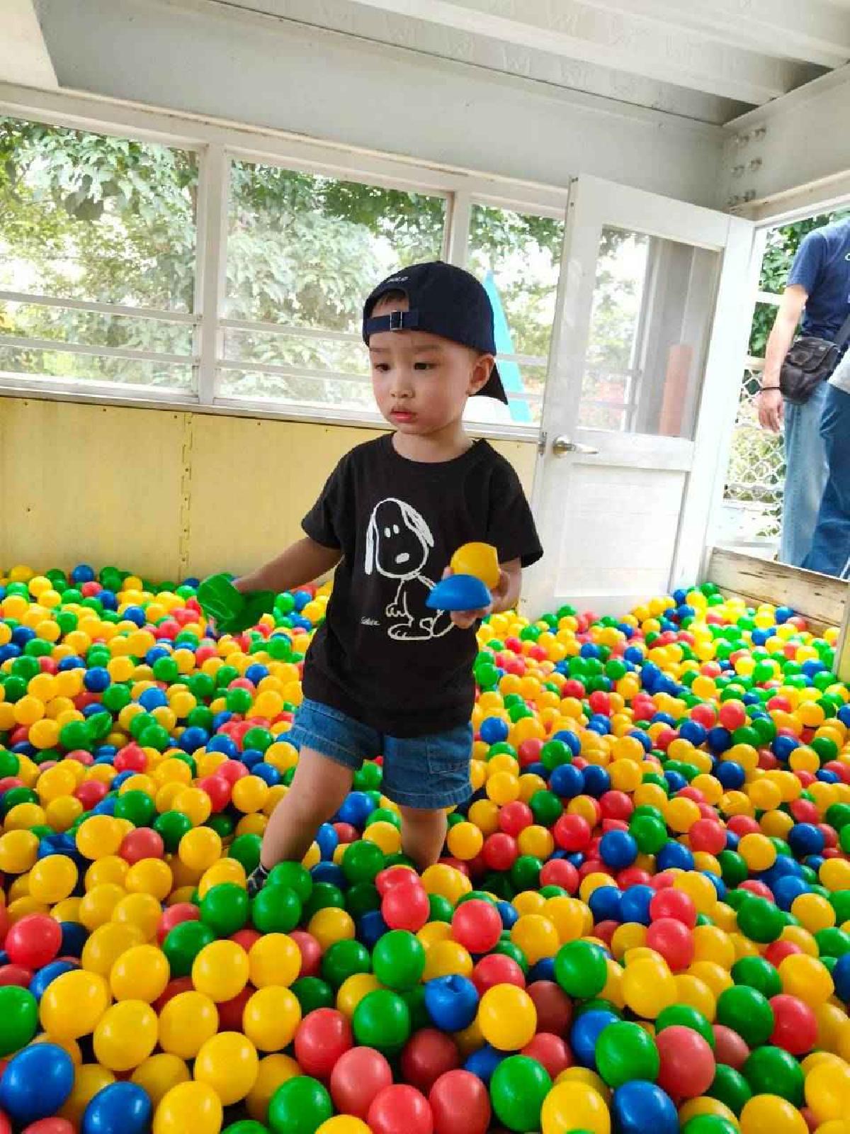 line_album_球池尋寶_260805_3